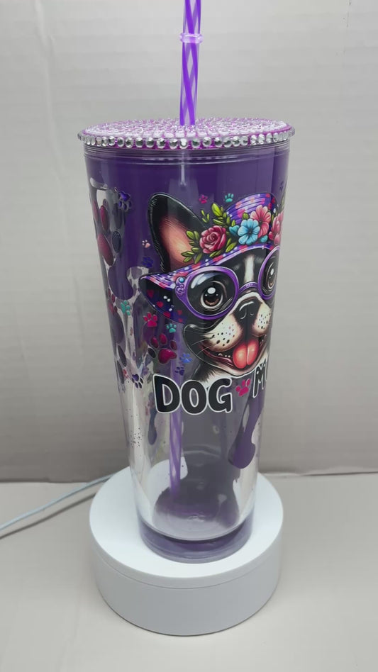 24OZ ACRYLIC UVDTF SNOW GLOBE TUMBLER
